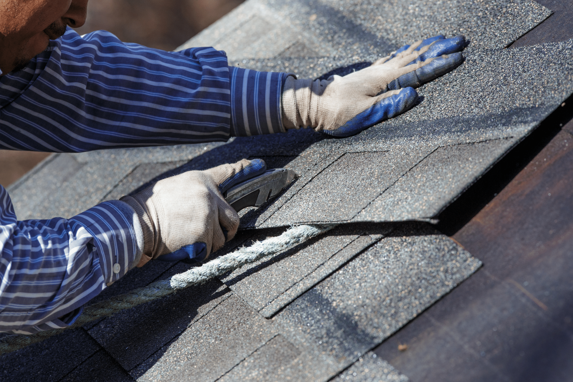 New Roof Home