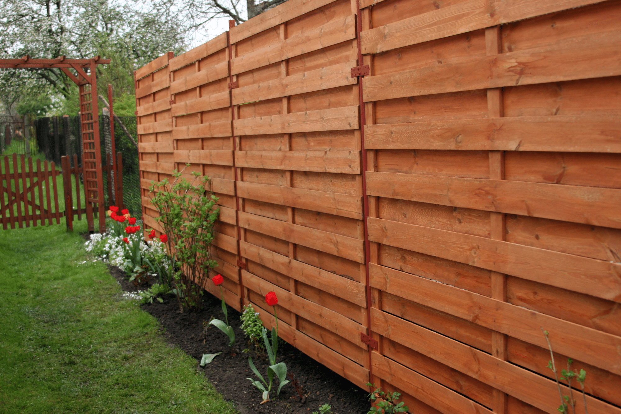 Privacy Fence