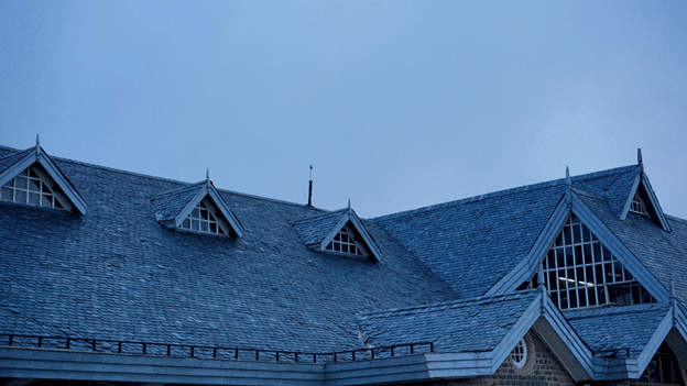 Are You Maintaining a Healthy Roof? Here’s How To Find Out