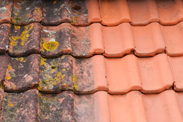 5 Ways To Clean Roof Stains Pure Home Improvement