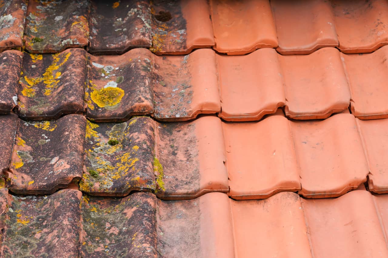 Chlorine Bleach Roof Cleaning