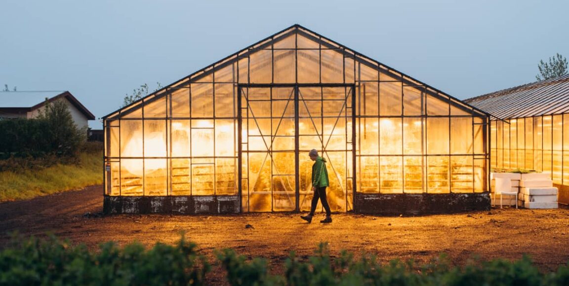 6 Best Types of Greenhouse Structures