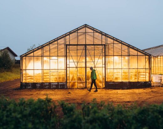 6 Best Types of Greenhouse Structures