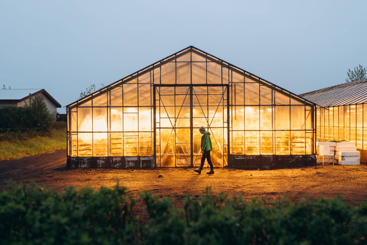 Ridge And Furrow Greenhouse