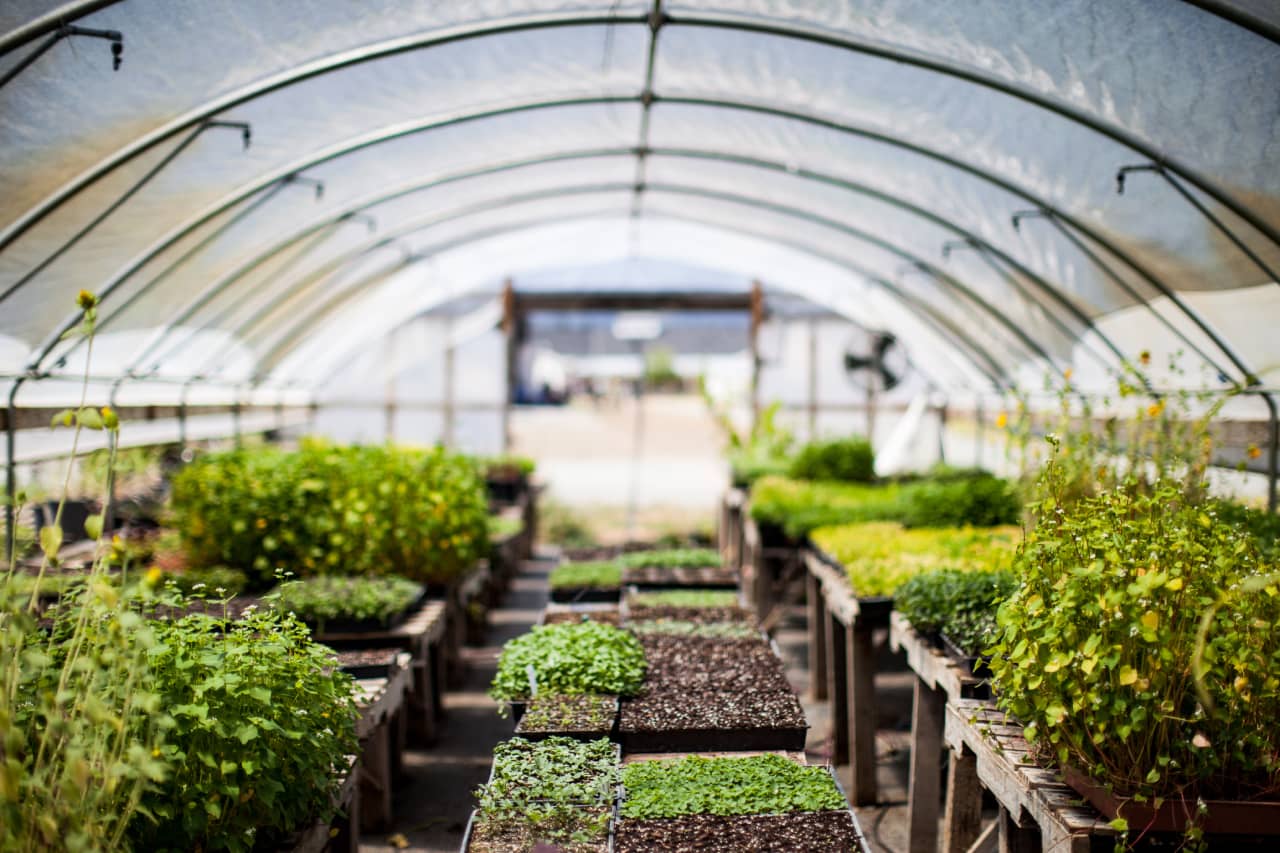 Hoop House