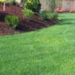 Landscaping Services